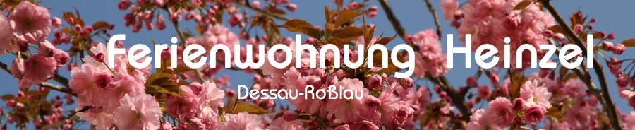 Ferienwohnung Dessau / Rosslau
